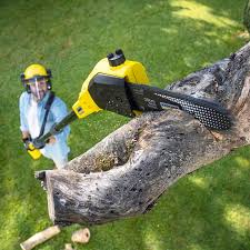 Lawn Maintenance Plans in Gregory, TX