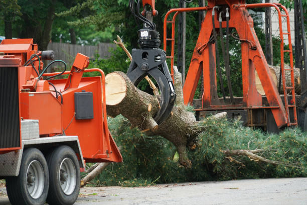 Lawn Drainage Solutions in Gregory, TX